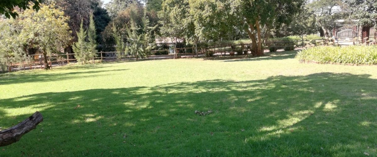 WhatsApp Image 2025-01-03 at 12.20.22 (1)